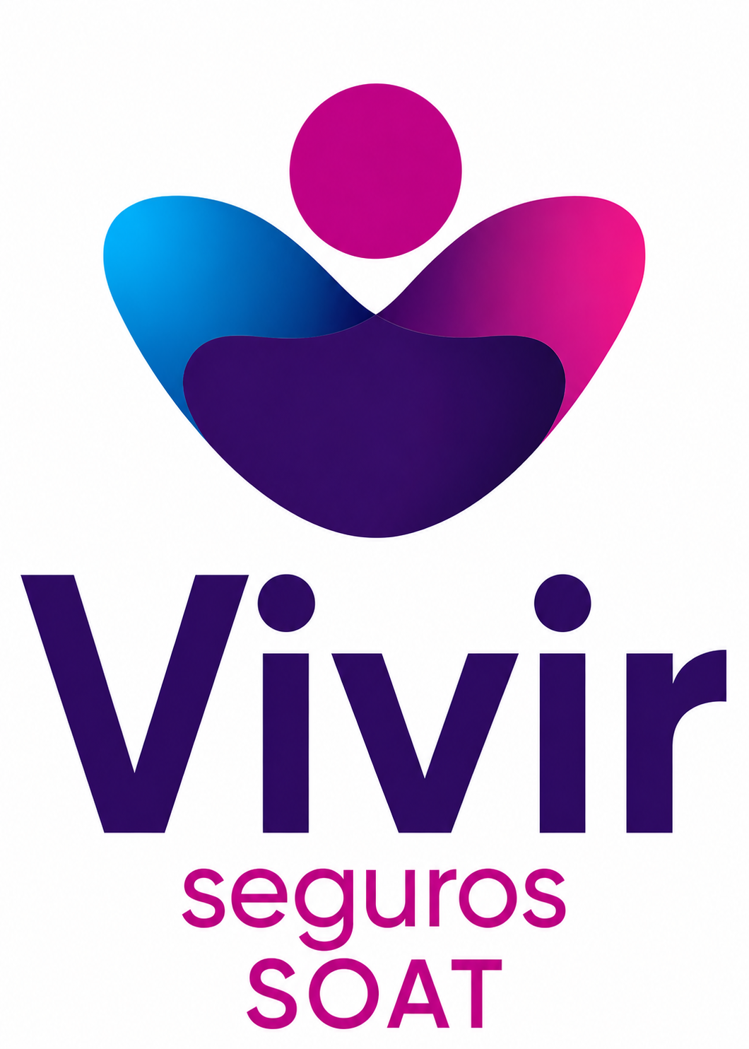 VIVIR SEGUROS SOAT